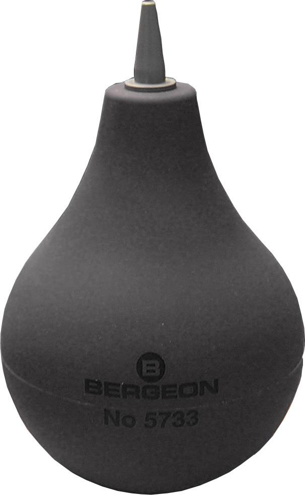 Staubbläser stehend